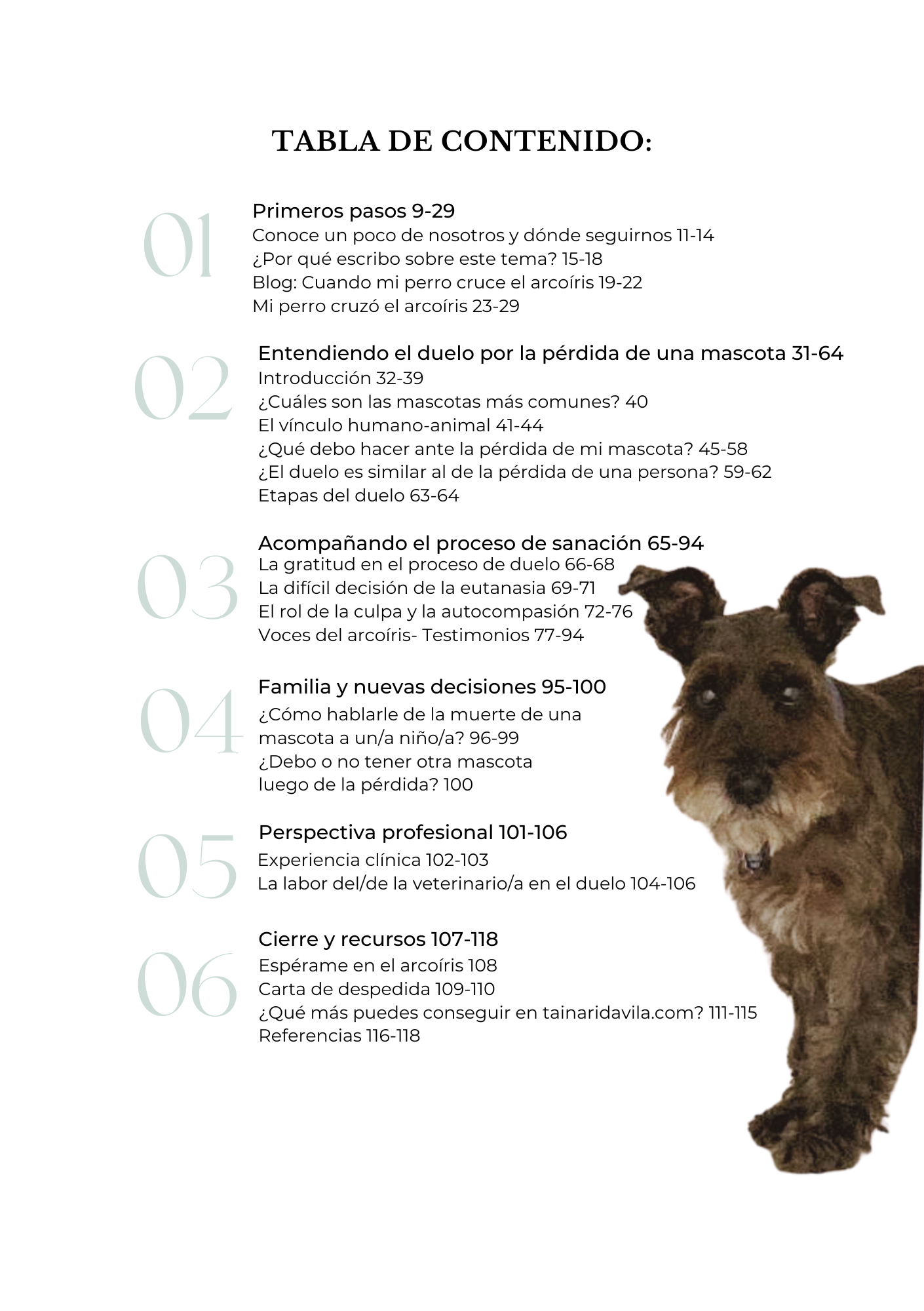 Cuando mi perro cruce el arcoíris (Tercera edición)