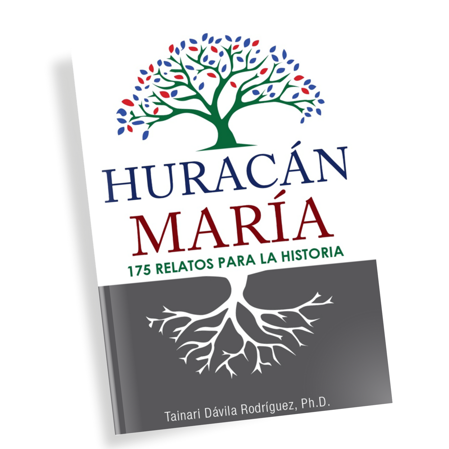 HURACÁN MARÍA: 175 RELATOS PARA LA HISTORIA