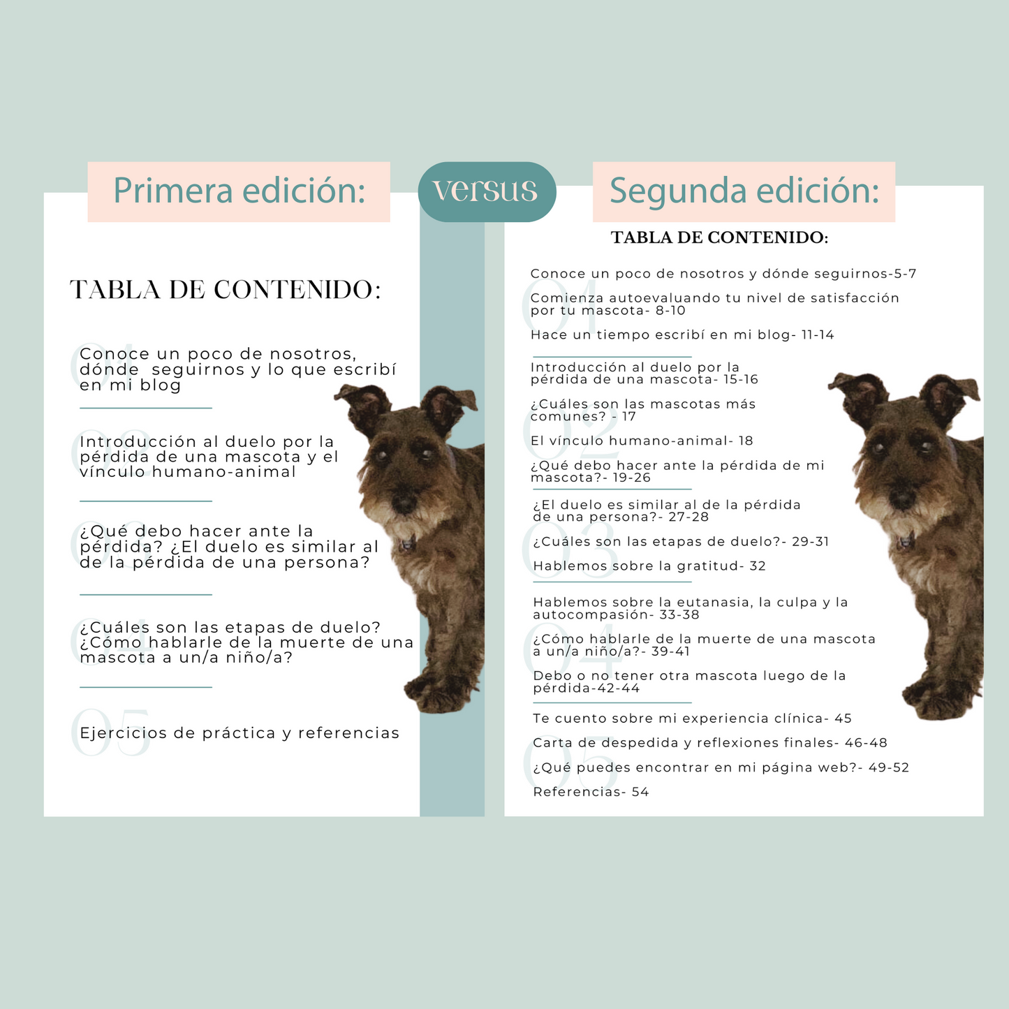 Cuando mi perro cruce el arcoíris (Segunda edición)