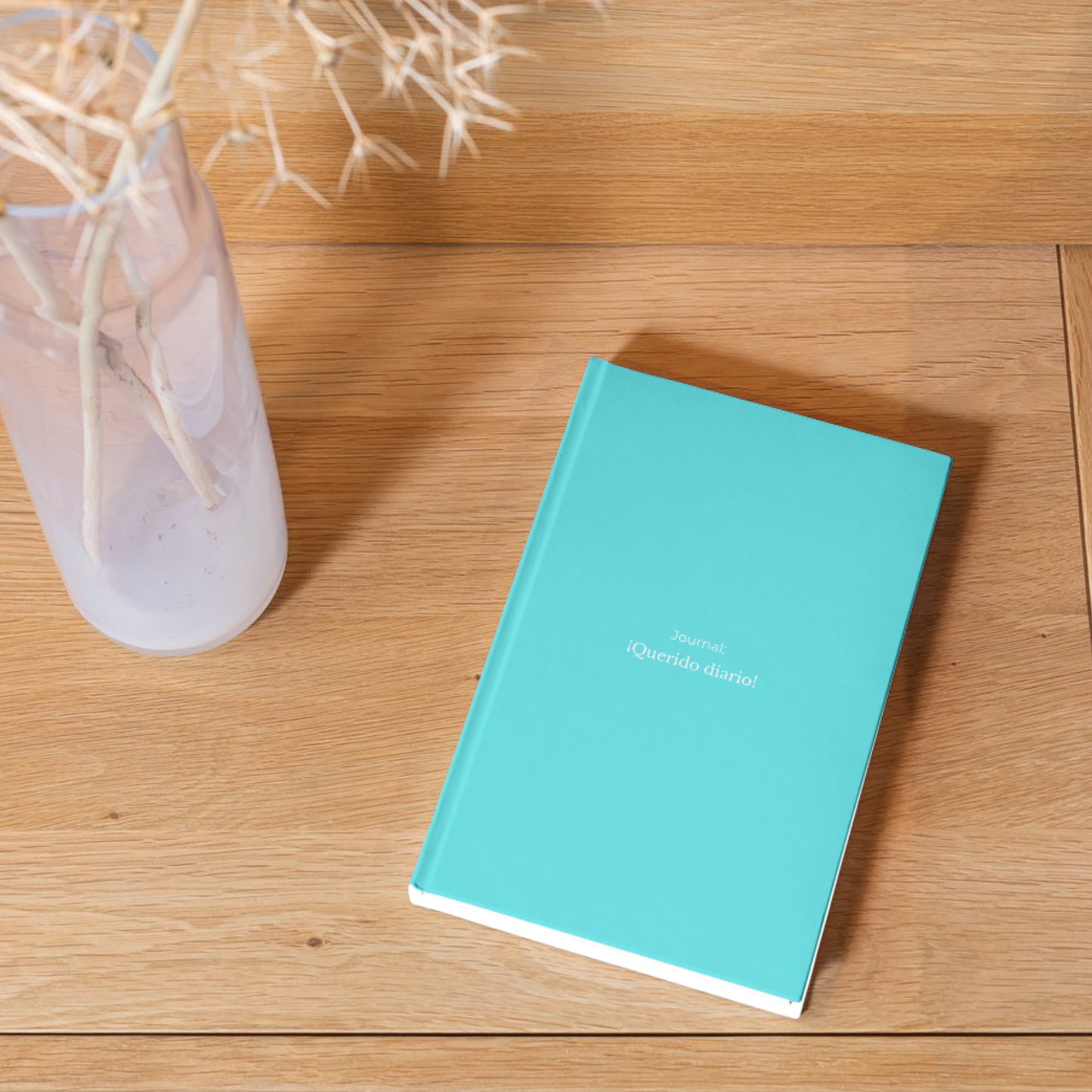 Journal: ¡Querido diario!